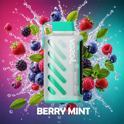 Vozol-Vape-Gear-Power-20000-Berry-Mint-1-2 Vozol Vape Gear Power 20000 - Berry Mint