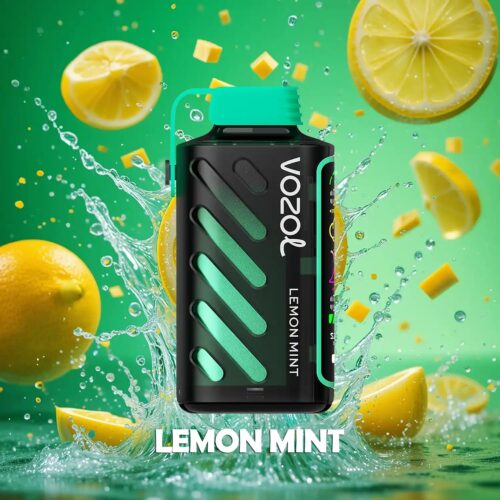 Vozol-Vape-Gear-Power-20000-Lemon-mint-1-1 Vozol Gear Power 20000 - Lemon Mint