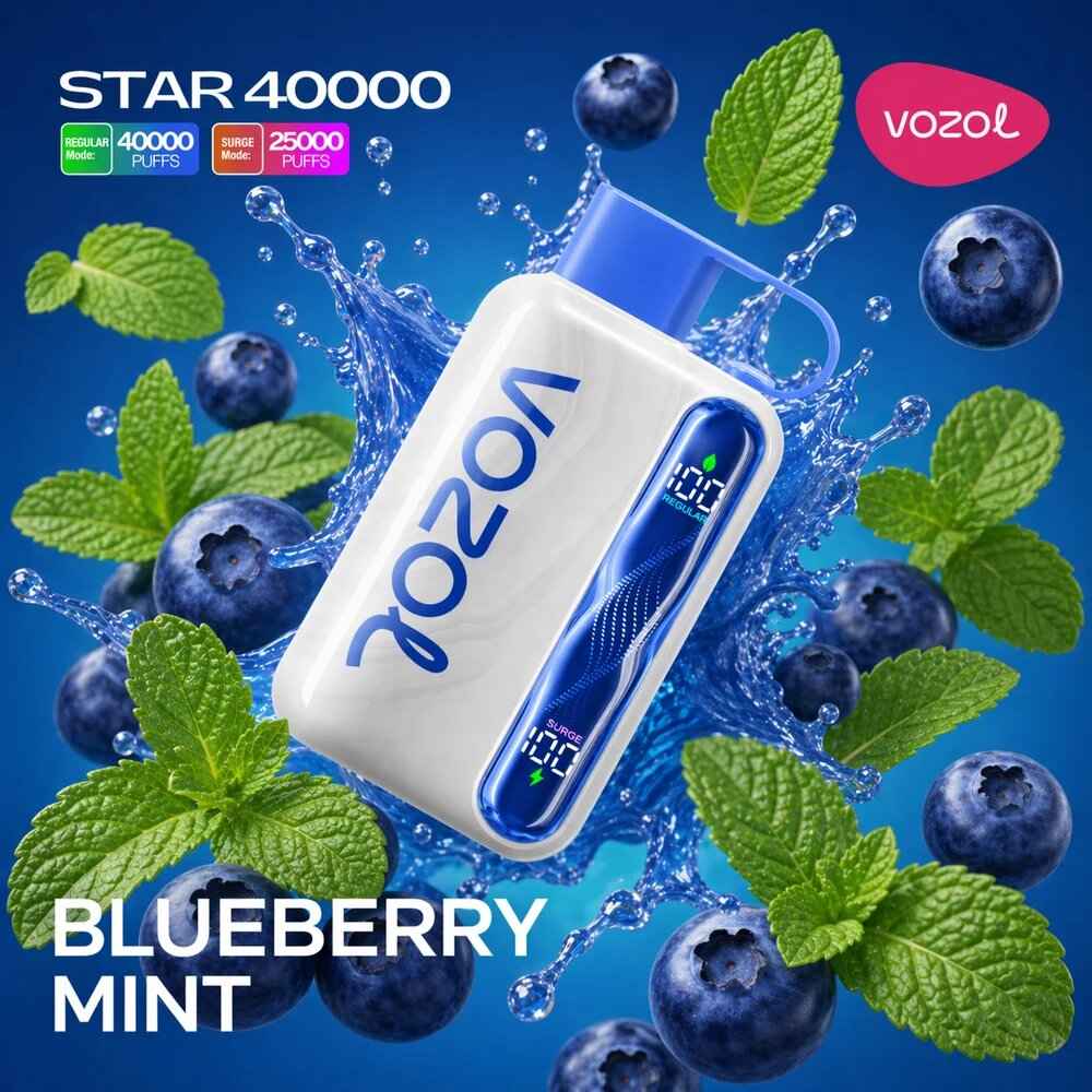 Vozol Star 40k - Blueberry Mint